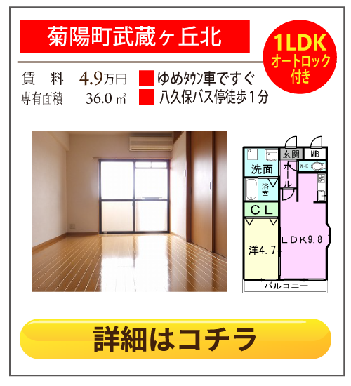 熊本県菊池郡菊陽町武蔵ヶ丘北スライブ壱番館 303